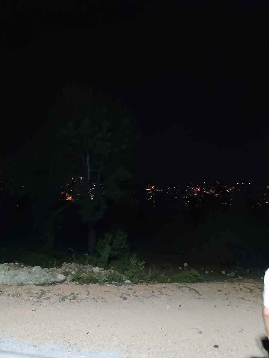 Atatürk Ormanı Piknik Alanı — fotoğraf 2