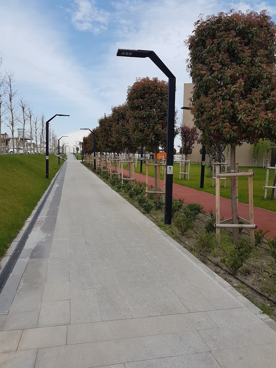 Avlu Balıkesir — fotoğraf 4