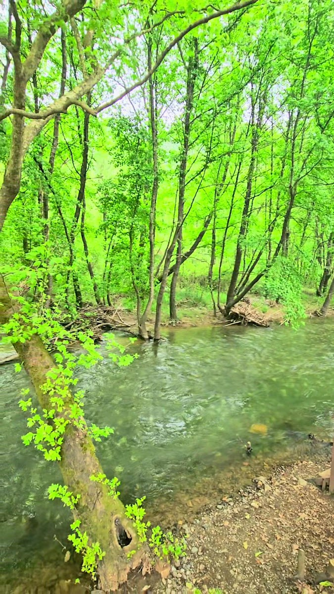 Avludere — fotoğraf 2