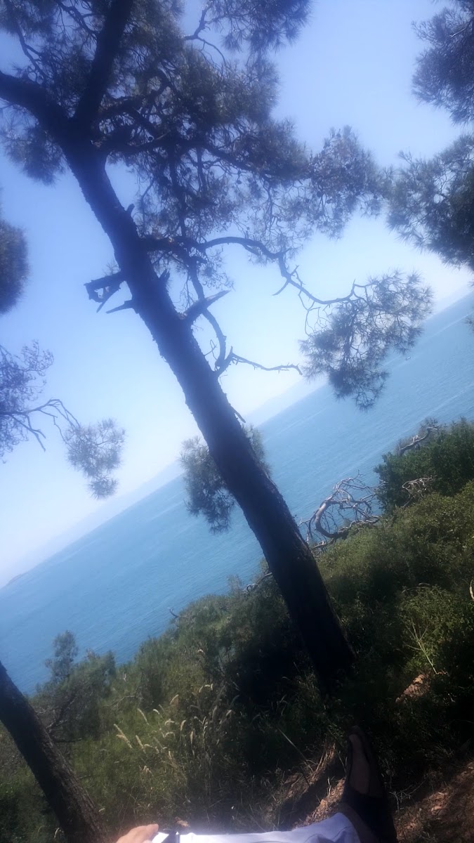 Aya Yorgi Uçurum Manastırı — fotoğraf 2