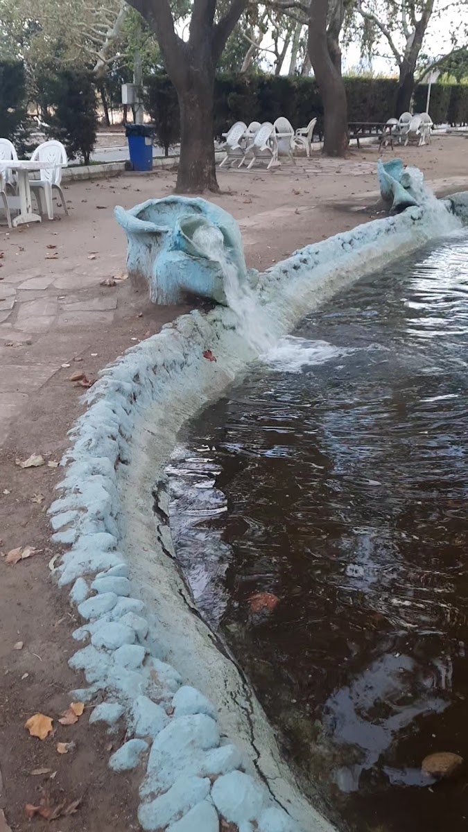 Ayaklı Piknik Alanı — fotoğraf 2