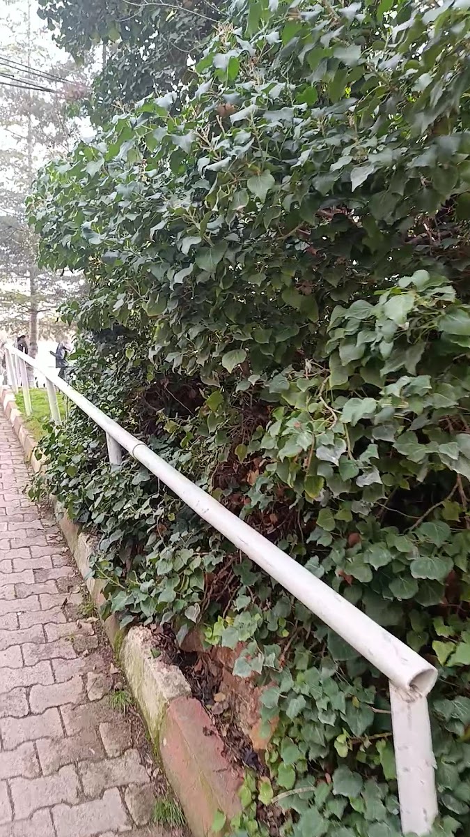 Ayaş İçmeleri ve Kaplıcaları — fotoğraf 2