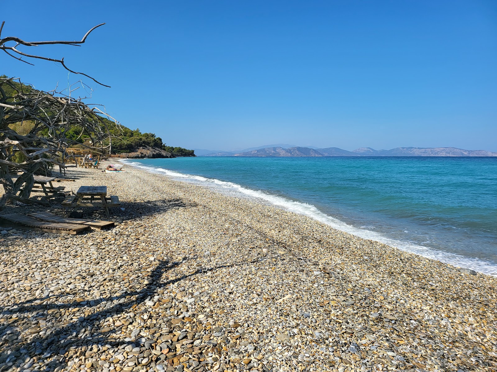 Aydınlık Koyu — fotoğraf 1