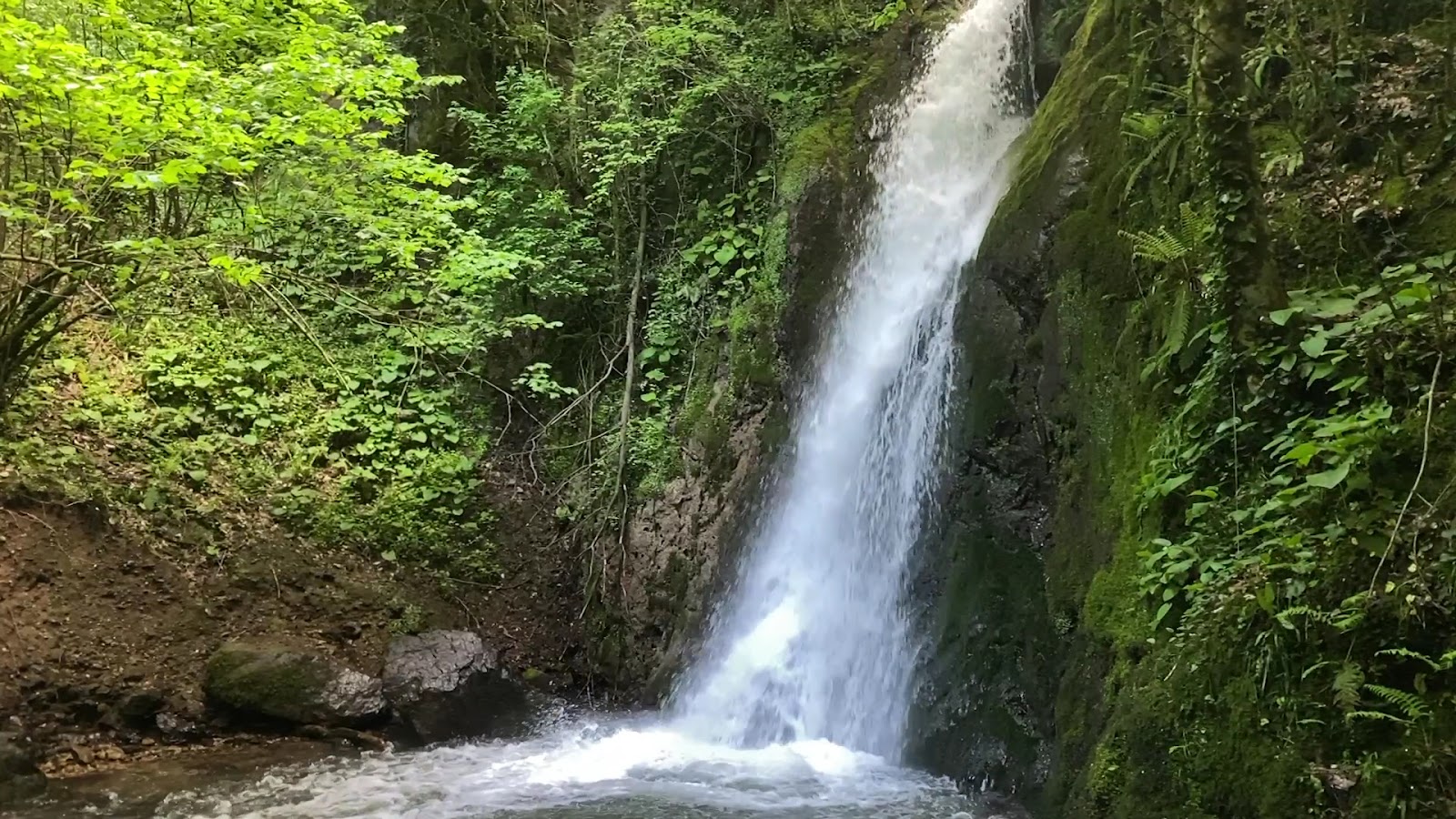 Aydınpınar Şelalesi Tabiat Parkı — fotoğraf 3