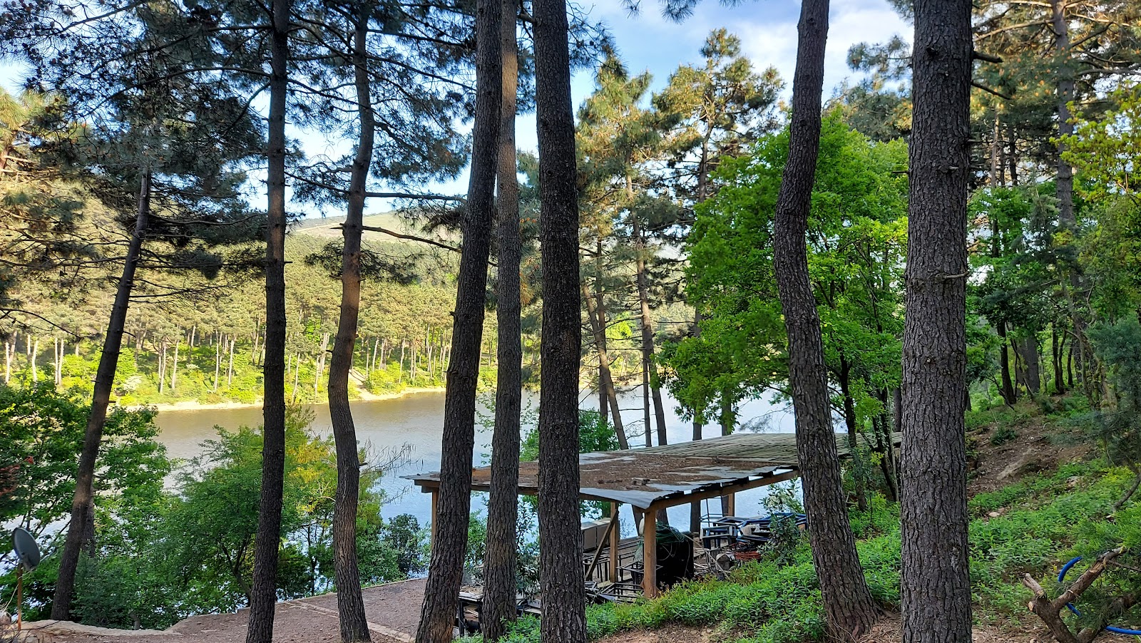 Aydos Ormanı Gölü — fotoğraf 1