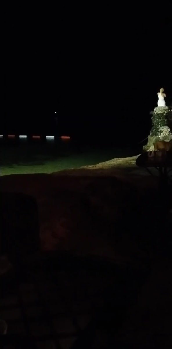 Ayışığı Restaurant — fotoğraf 3