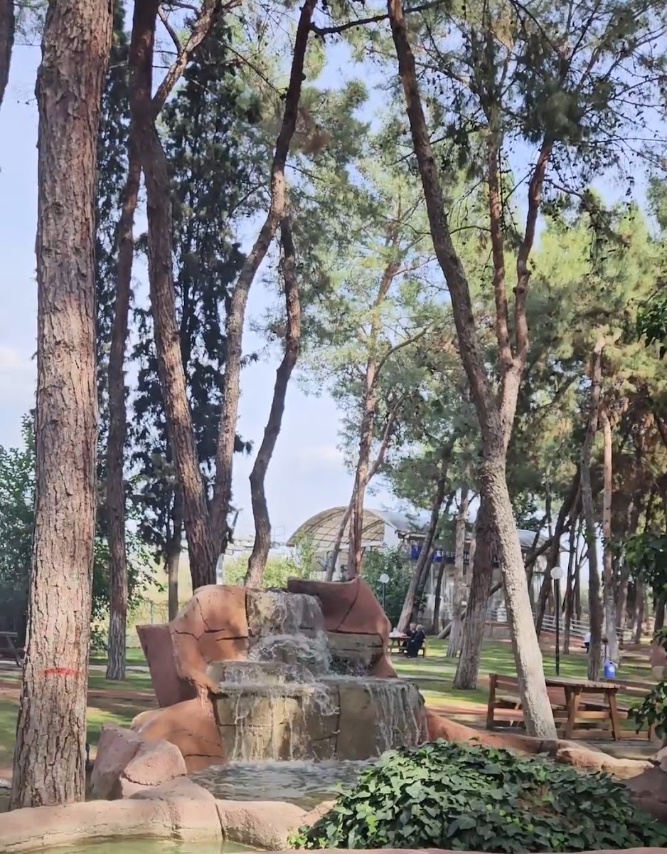 Aytepe Mesire Alanı — fotoğraf 2