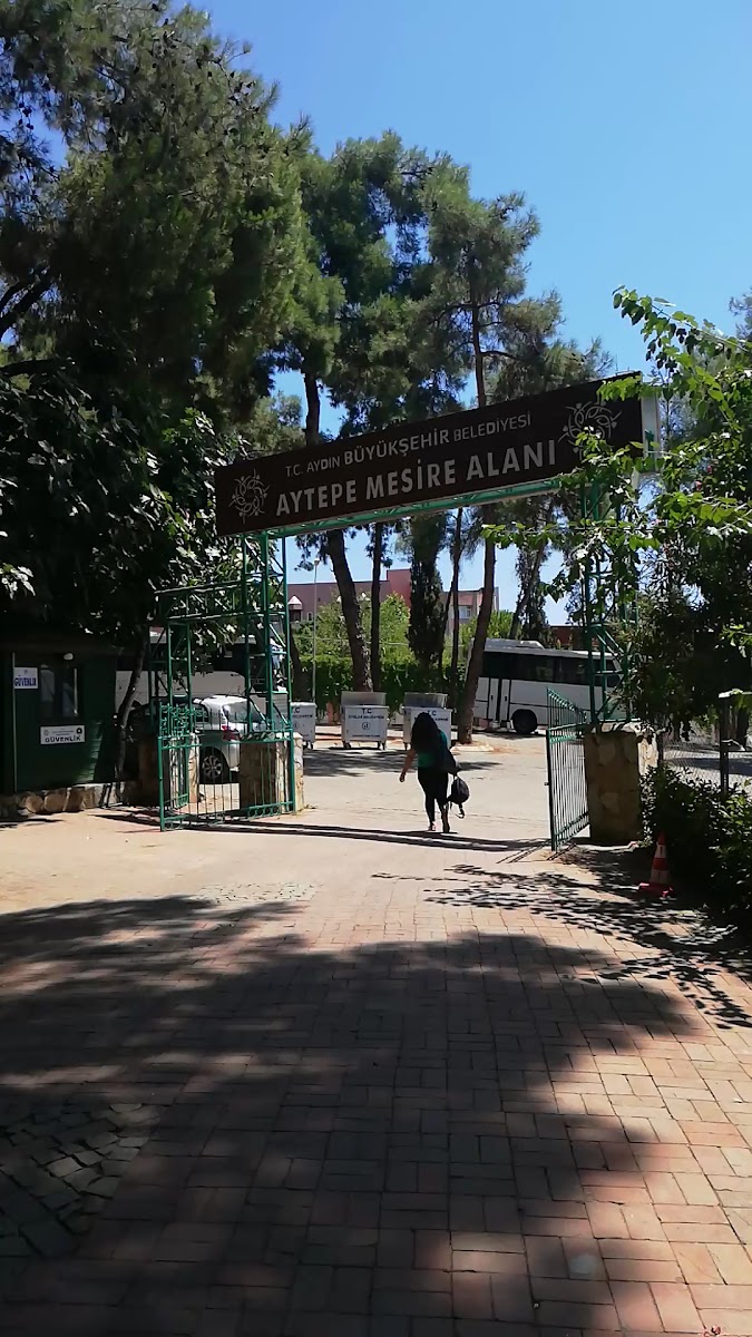 Aytepe Mesire Alanı — fotoğraf 3