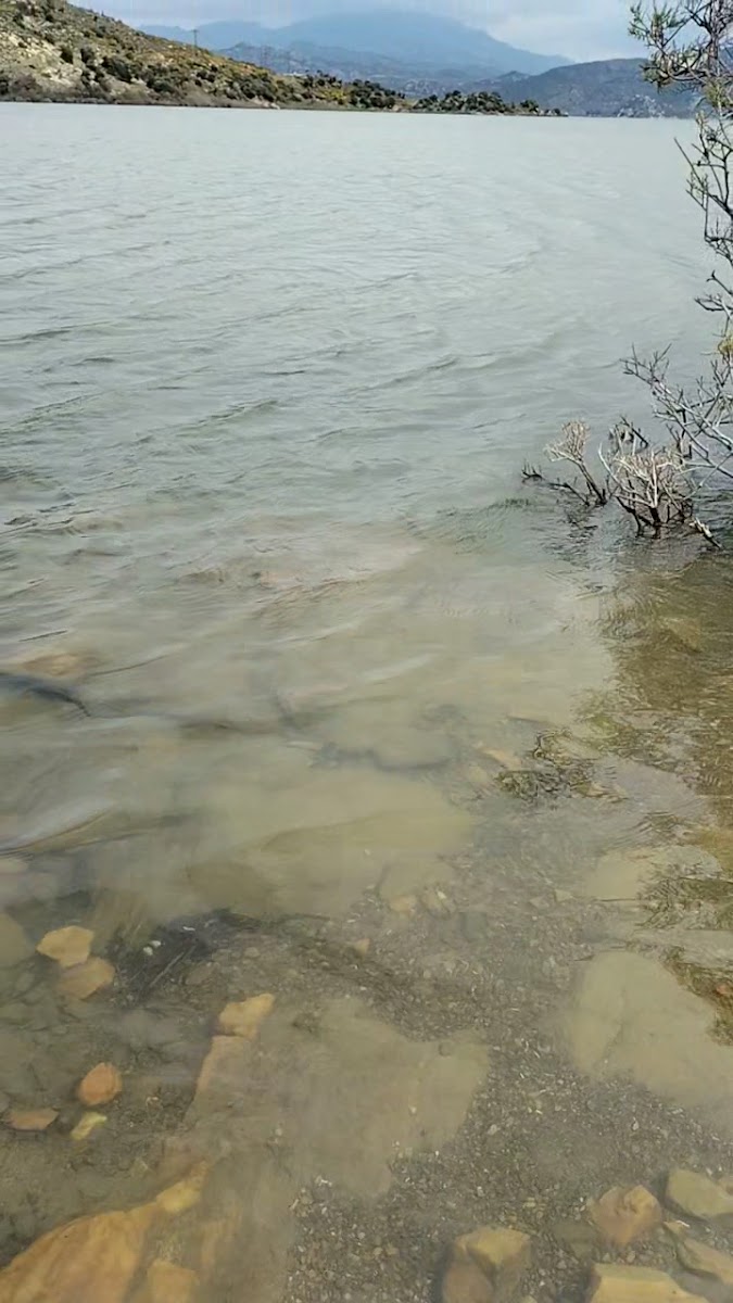 Bafa Gölü Tabiat Parkı — fotoğraf 2