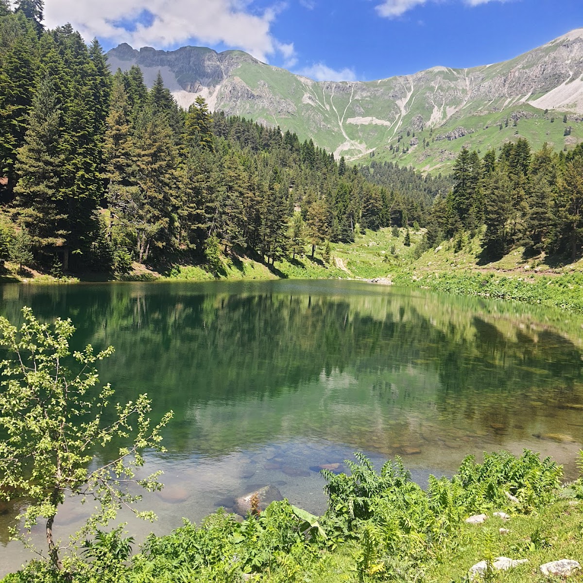 Balık Gölü — fotoğraf 1