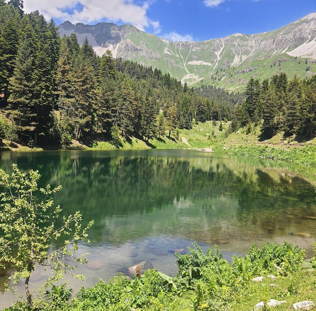 Balık Gölü — fotoğraf 5