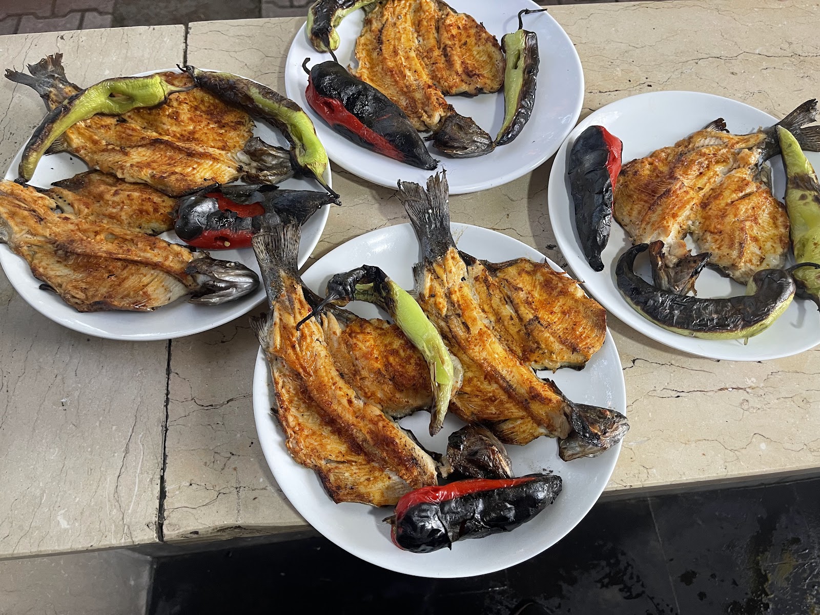 Balık Tesisi Güroymak — fotoğraf 1