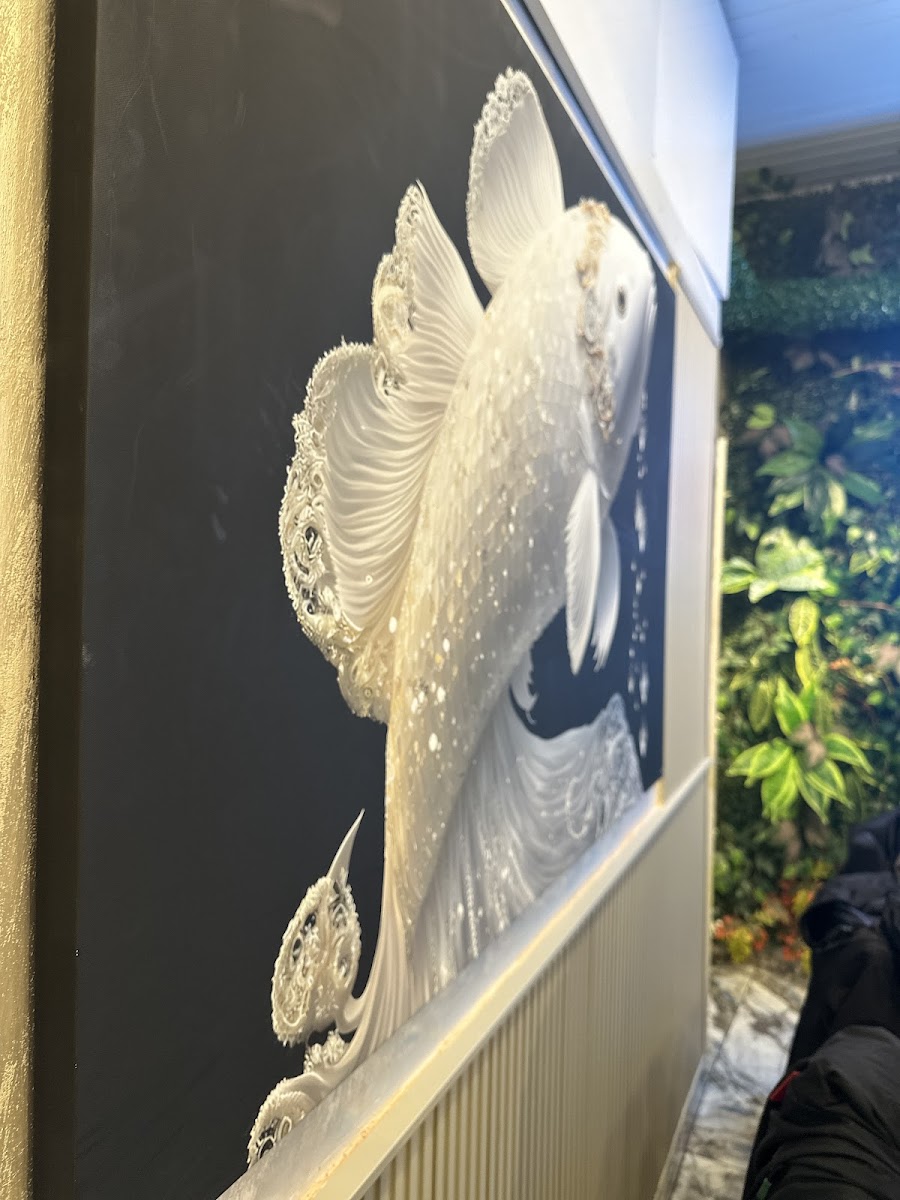 BALIKÇI AKIN SİNOP - BALIK, ÇORBA, MEZE — fotoğraf 5