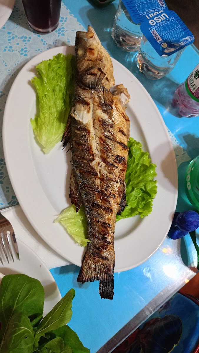 Balıkçı Tamer — fotoğraf 5