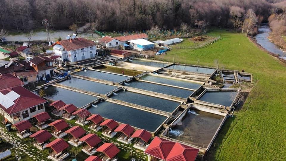 Balkaya Alabalık Çiftliği — fotoğraf 2