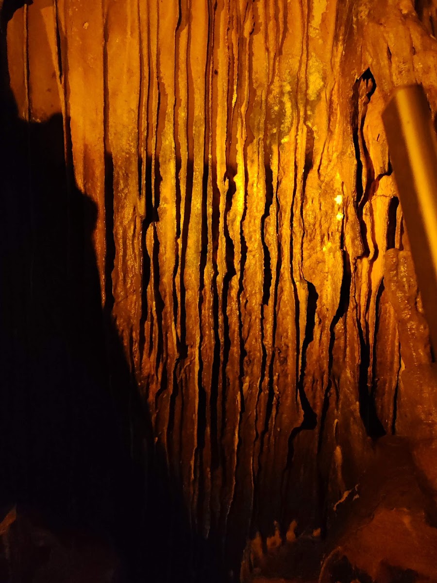 Ballıca Mağarası Tabiat Parkı — fotoğraf 2