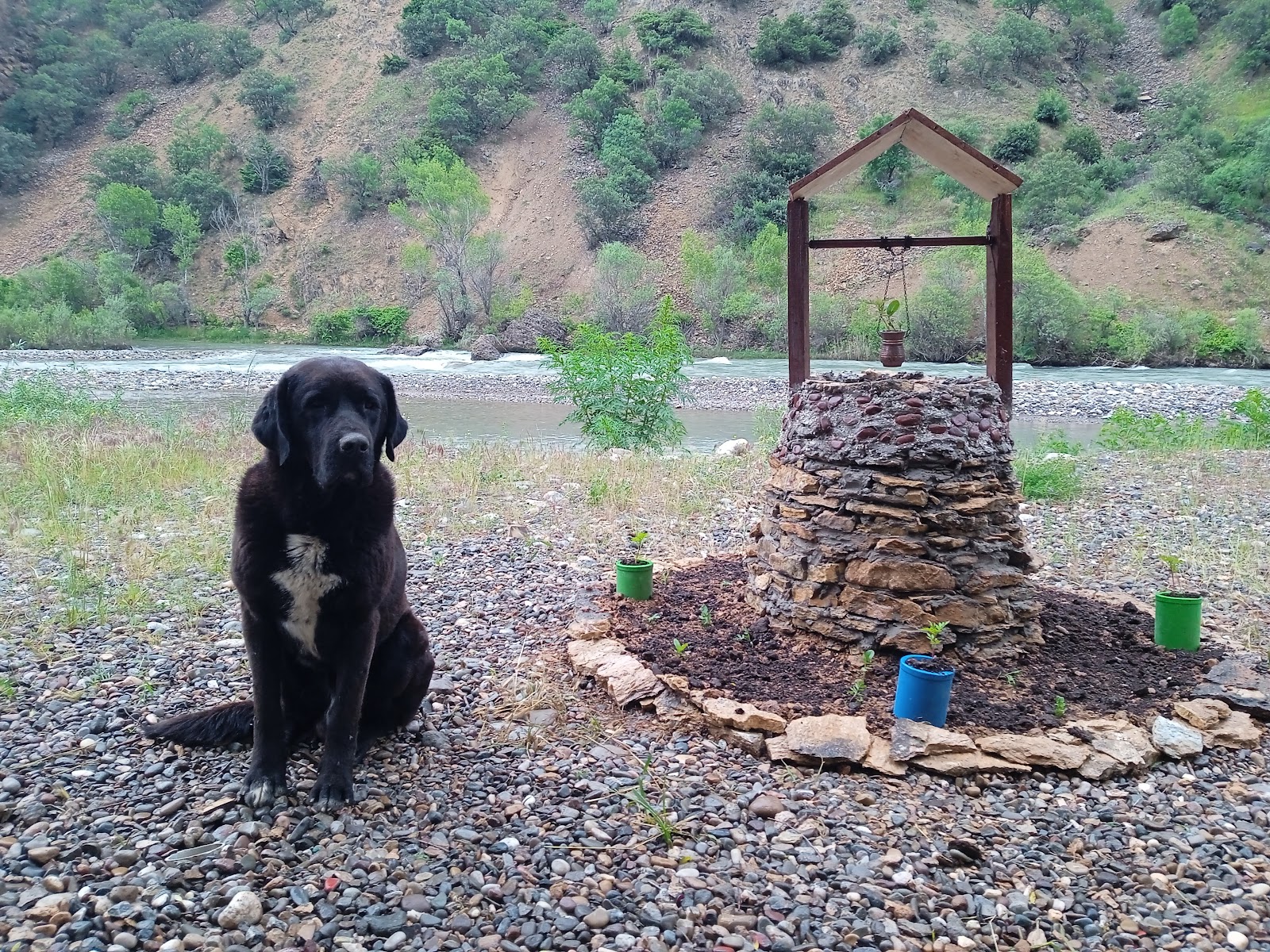 Baran Aile Çay Bahçesi ve Restaurant — fotoğraf 6