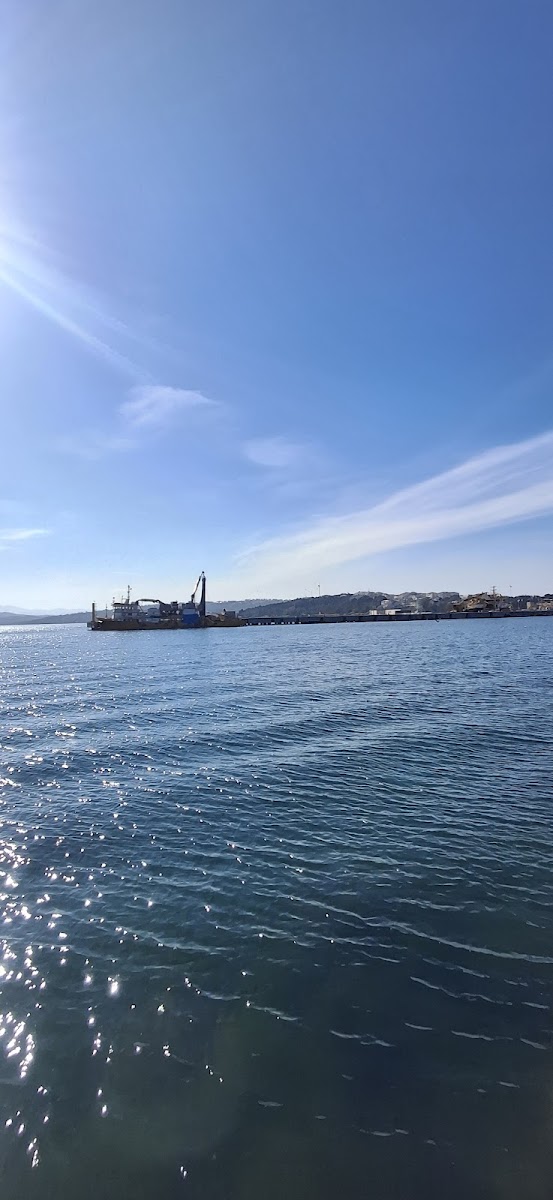 Barış Manço Parkı — fotoğraf 5