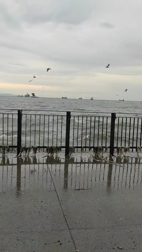 Baruthane Millet Parkı — fotoğraf 2