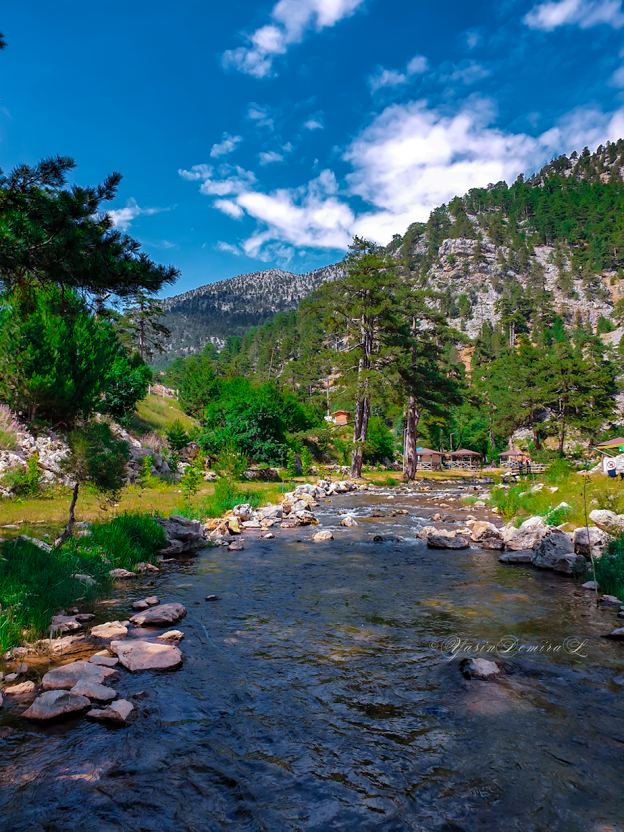 Başpınar Tabiat Parkı Kamp ve Piknik Alanı — fotoğraf 2
