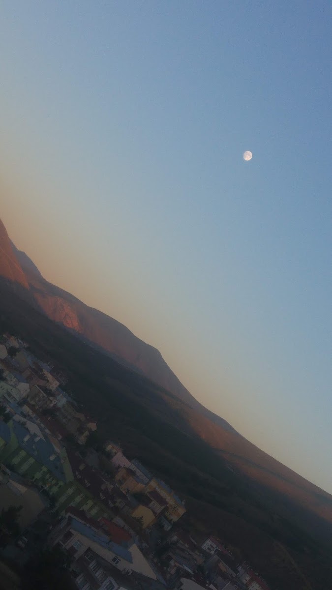 Bayburt Gençlik Parkı — fotoğraf 2