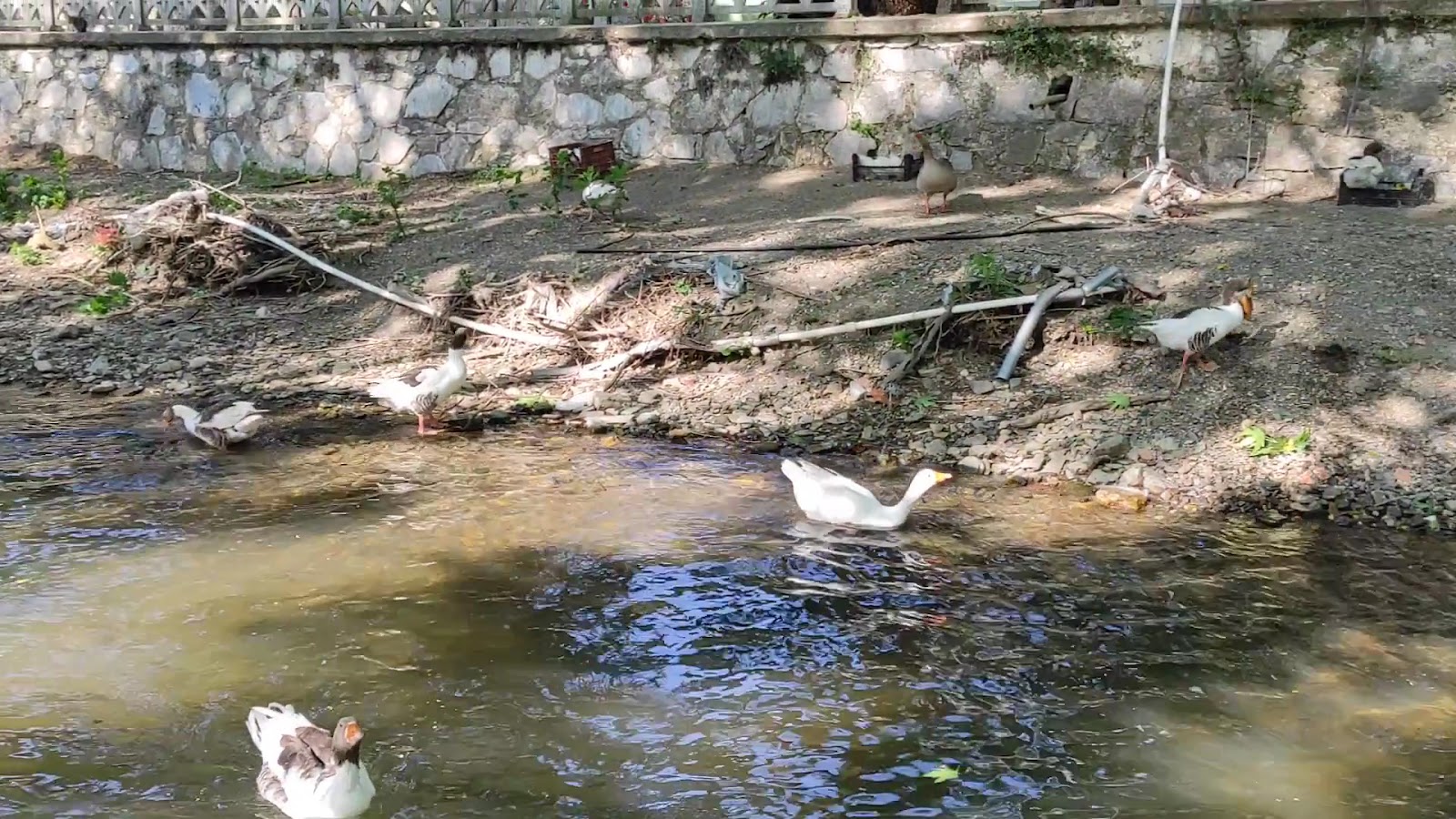 Bayındır Kaplıcaları — fotoğraf 3