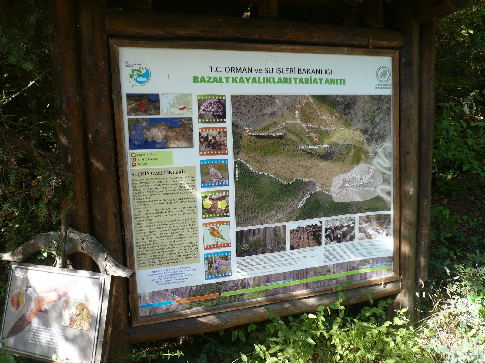 BAZALT KAYALIKLARI TABİAT ANITI — fotoğraf 2