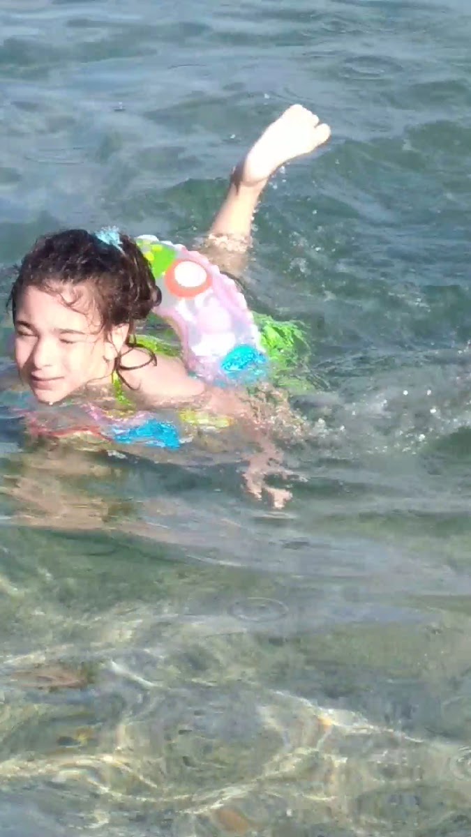 Belediye Kamp Alanı — fotoğraf 3