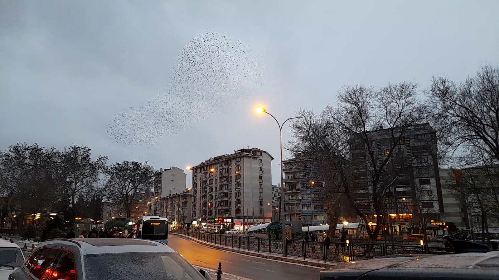 Belediye Parkı — fotoğraf 3
