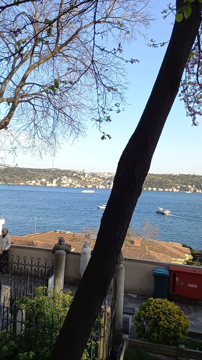 Beşiktaşlı Şeyh Yahya Efendi Hazretleri — fotoğraf 3