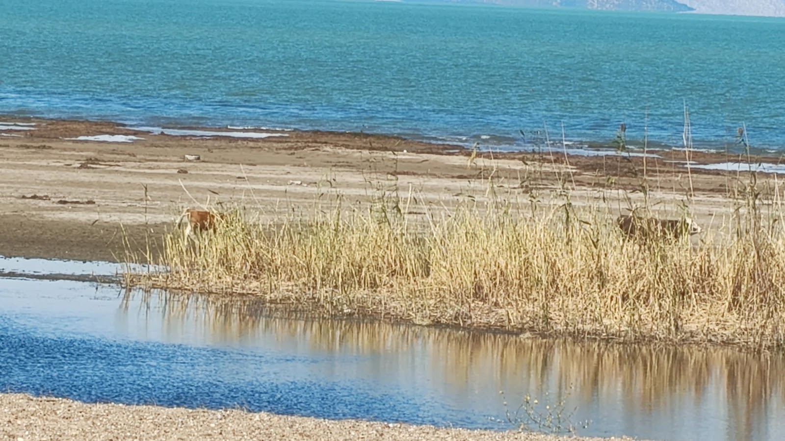 Beyşehir Gölü Milli Parkı — fotoğraf 3