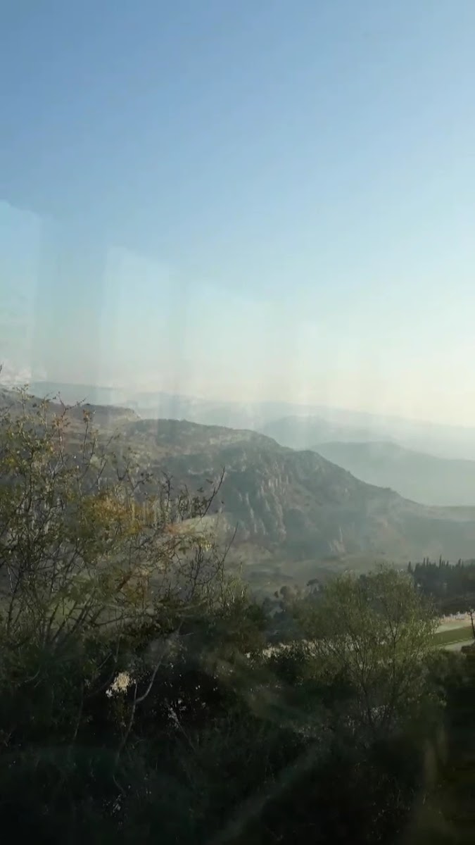 Bilecik Kent Ormanı Çay Bahçesi - Restaurant - Cafe ve Düğün Salonu — fotoğraf 3