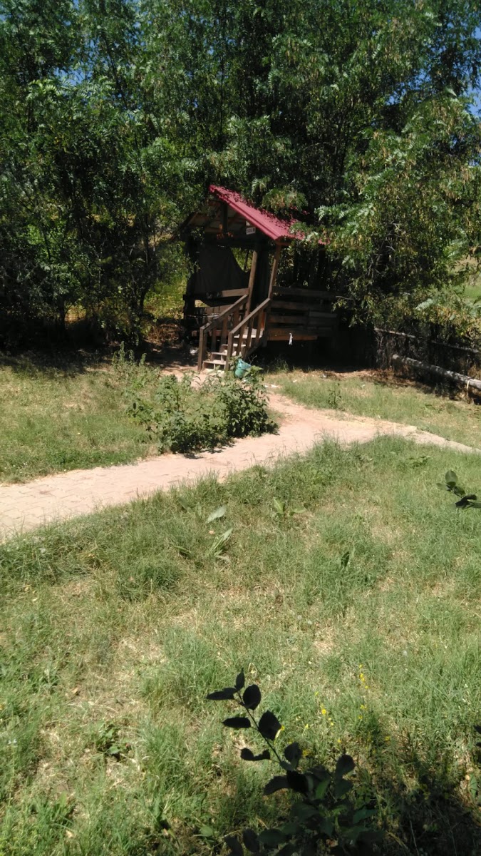 Bingöl Doğa Alabalık Tesisleri Ve Kır Kahvaltı Bahçesi — fotoğraf 3