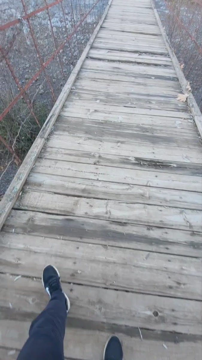 BINGÖL Kadran Deresi Saklı Bahçe Piknik Alanı — fotoğraf 2