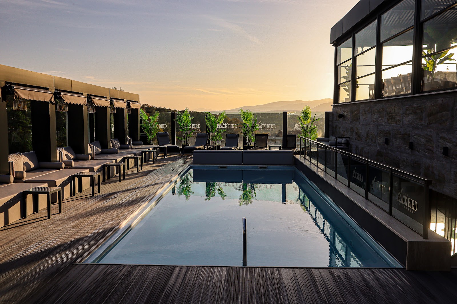 Black Bird Thermal & Spa Yalova Hotel — fotoğraf 1