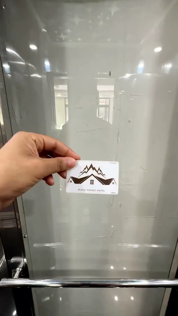 Black Forest Hotel — fotoğraf 3