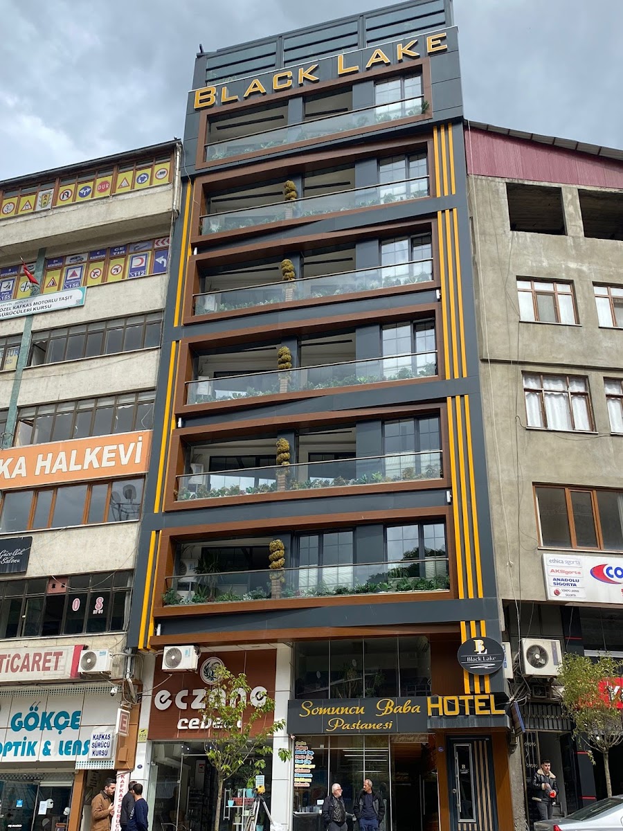 Blacklake Otel — fotoğraf 1