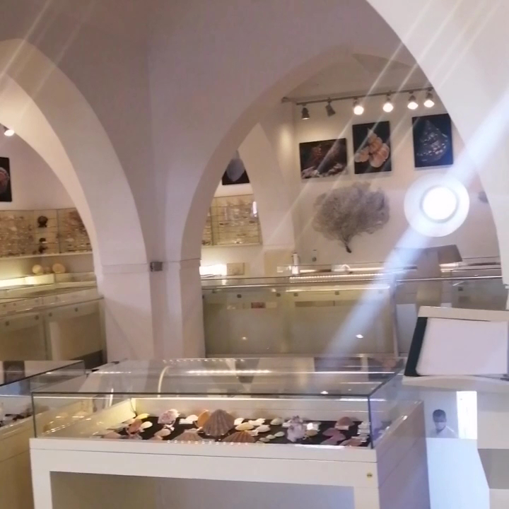 Bodrum Deniz Müzesi — fotoğraf 3