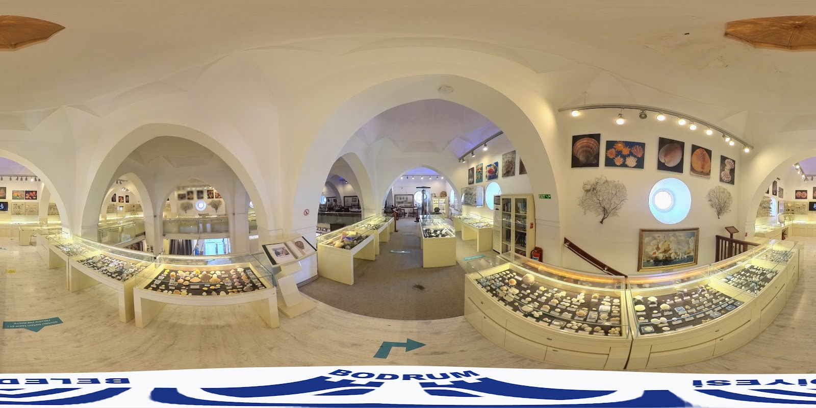 Bodrum Deniz Müzesi — fotoğraf 5