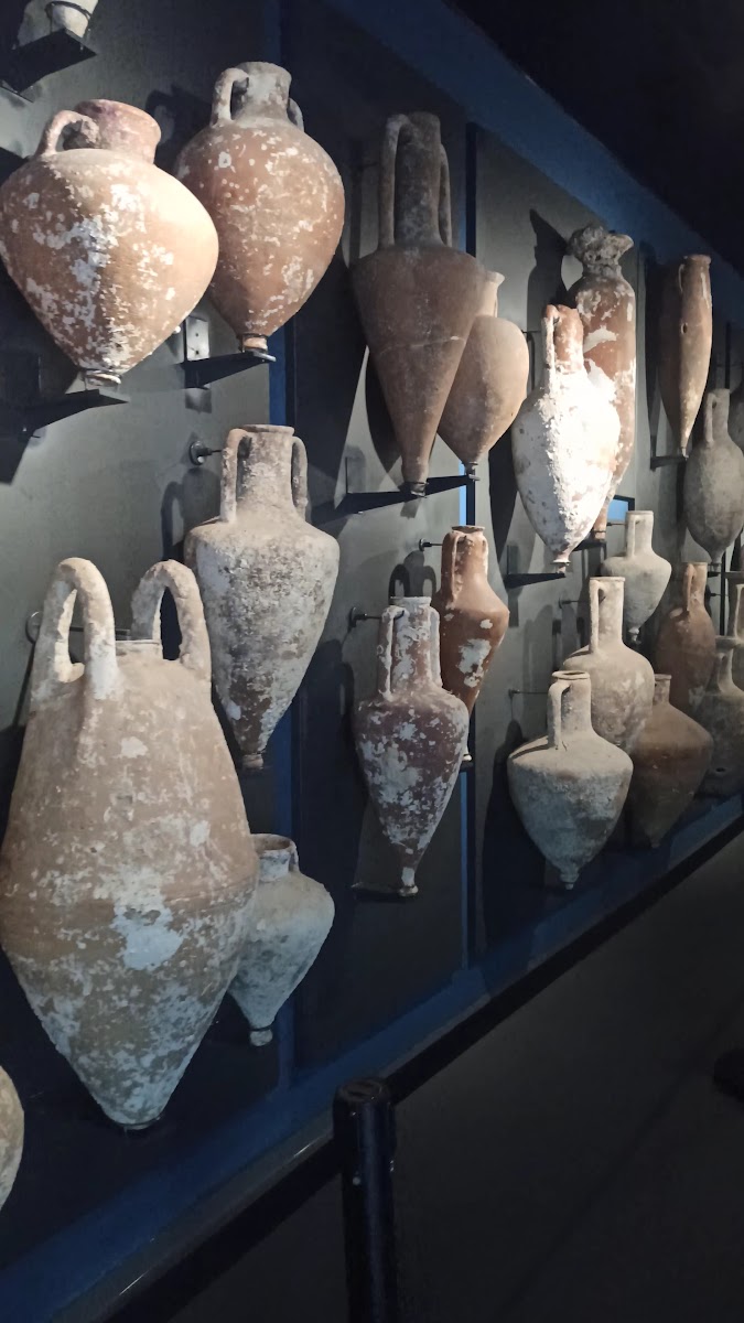 Bodrum Sualtı Arkeoloji Müzesi — fotoğraf 3