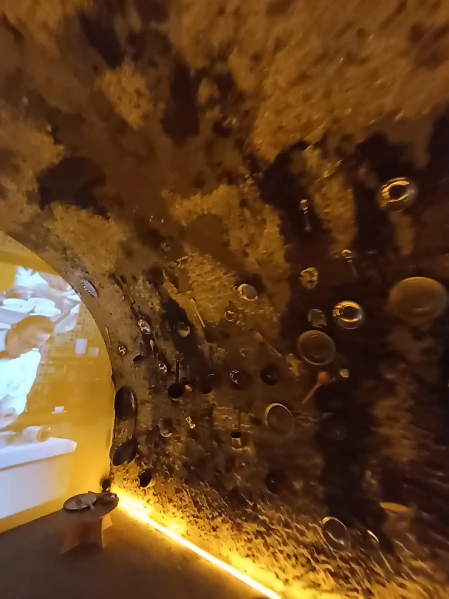 Boğatepe Peynir Müzesi — fotoğraf 3