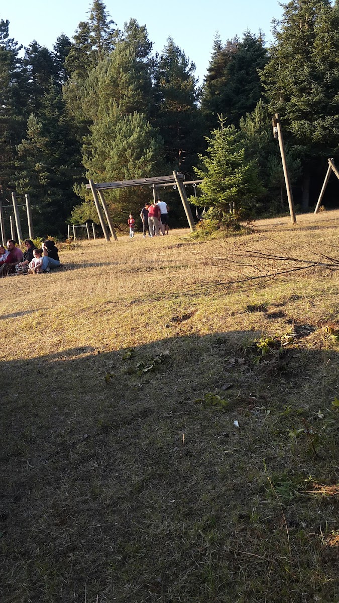 Bolu Kent Ormanı — fotoğraf 5