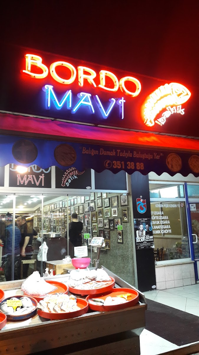 Bordo Mavi Balık-Erşan Yılmaz — fotoğraf 4