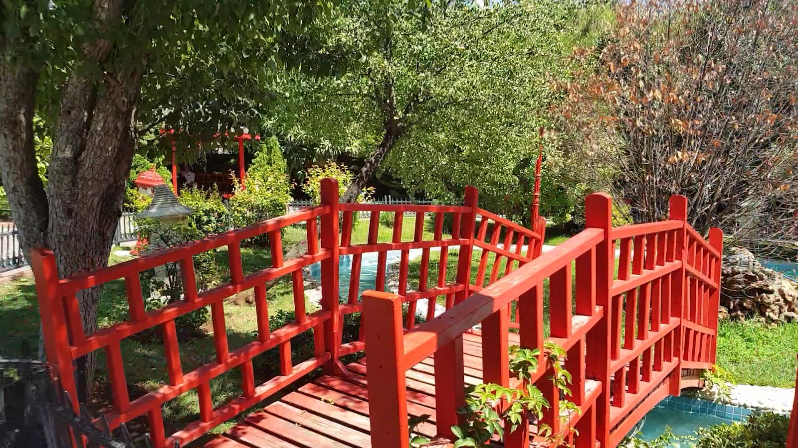 Botanik Bahçesi — fotoğraf 3