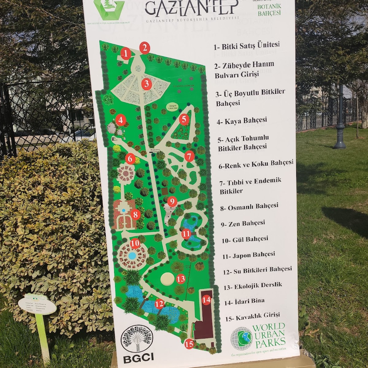 Botanik Bahçesi — fotoğraf 4