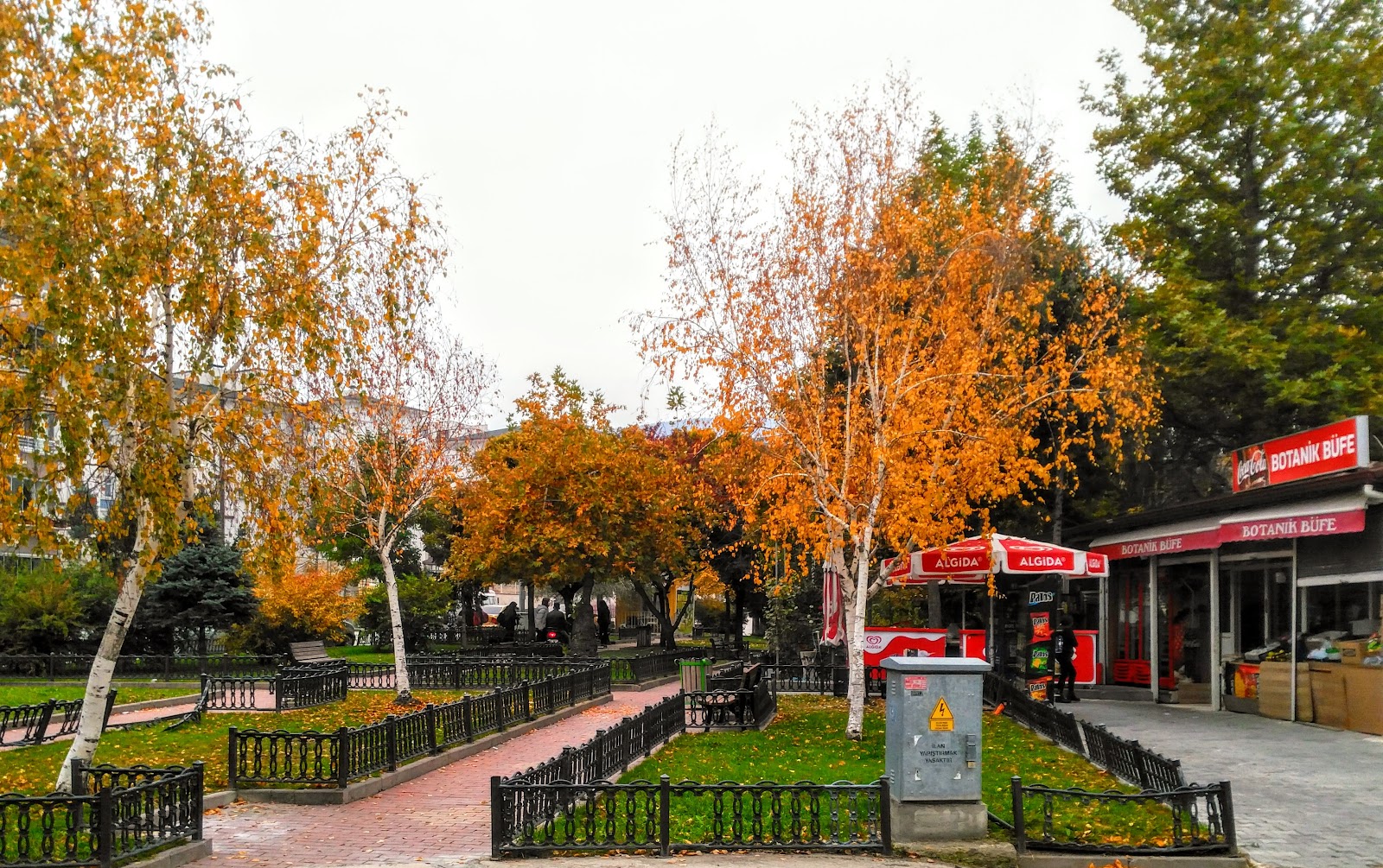 Botanik Parkı — fotoğraf 1