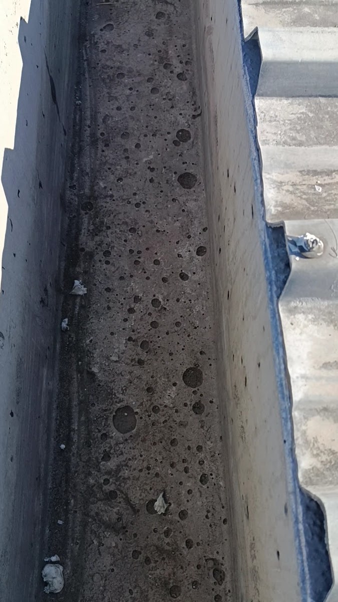 Boyabat Kalesi — fotoğraf 2