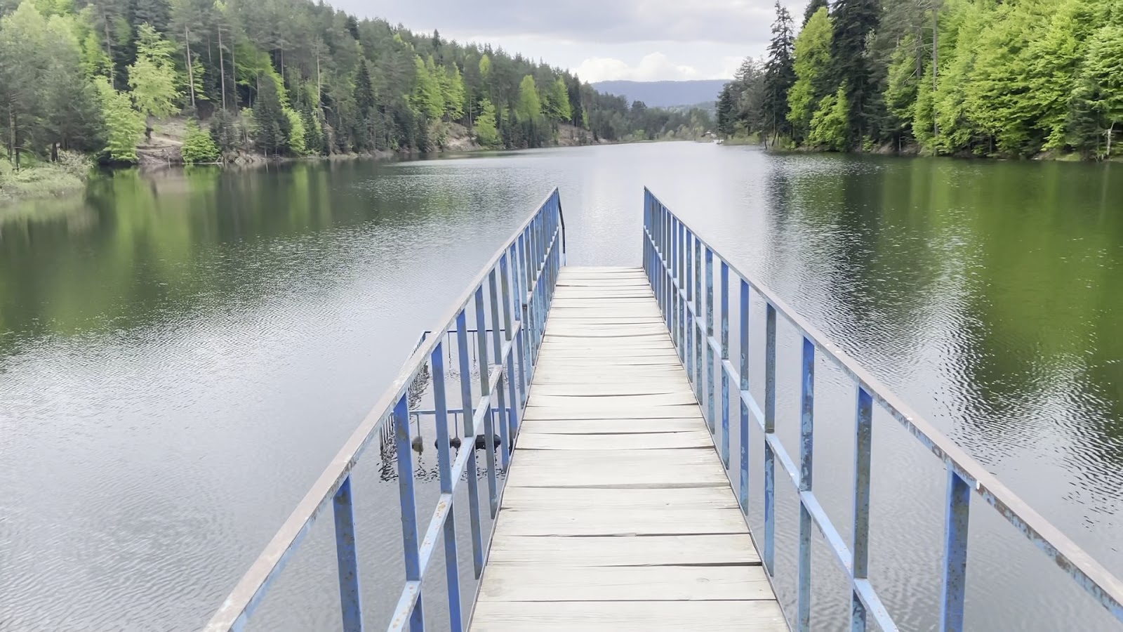 Bozcaarmut barajı — fotoğraf 2