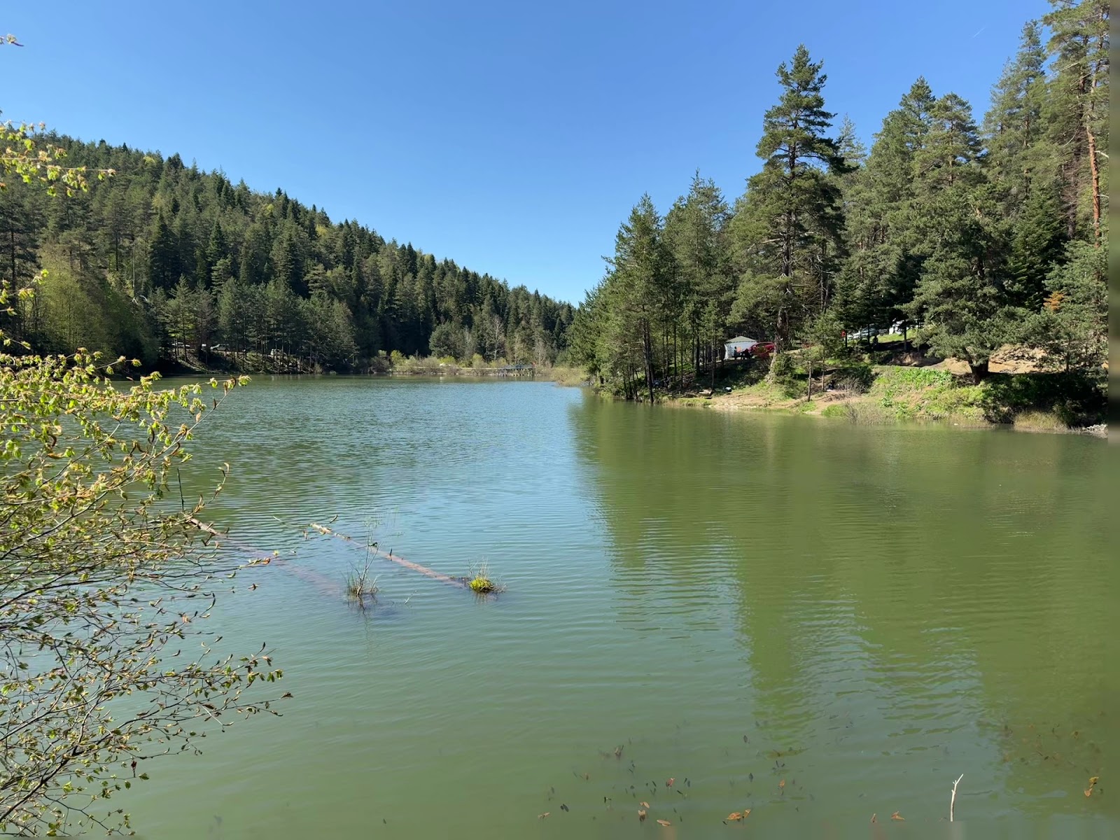 Bozcaarmut Göleti — fotoğraf 3