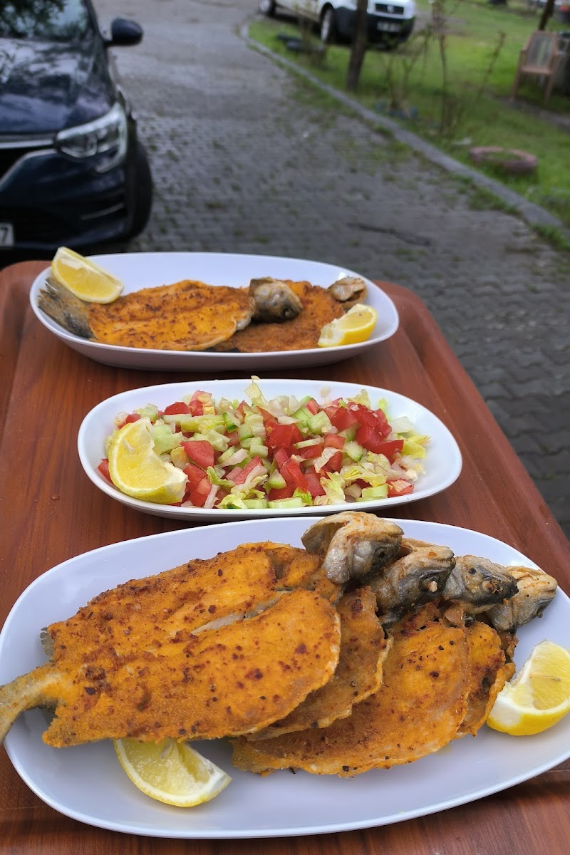 Bozdağ Alabalık Tesisleri — fotoğraf 2